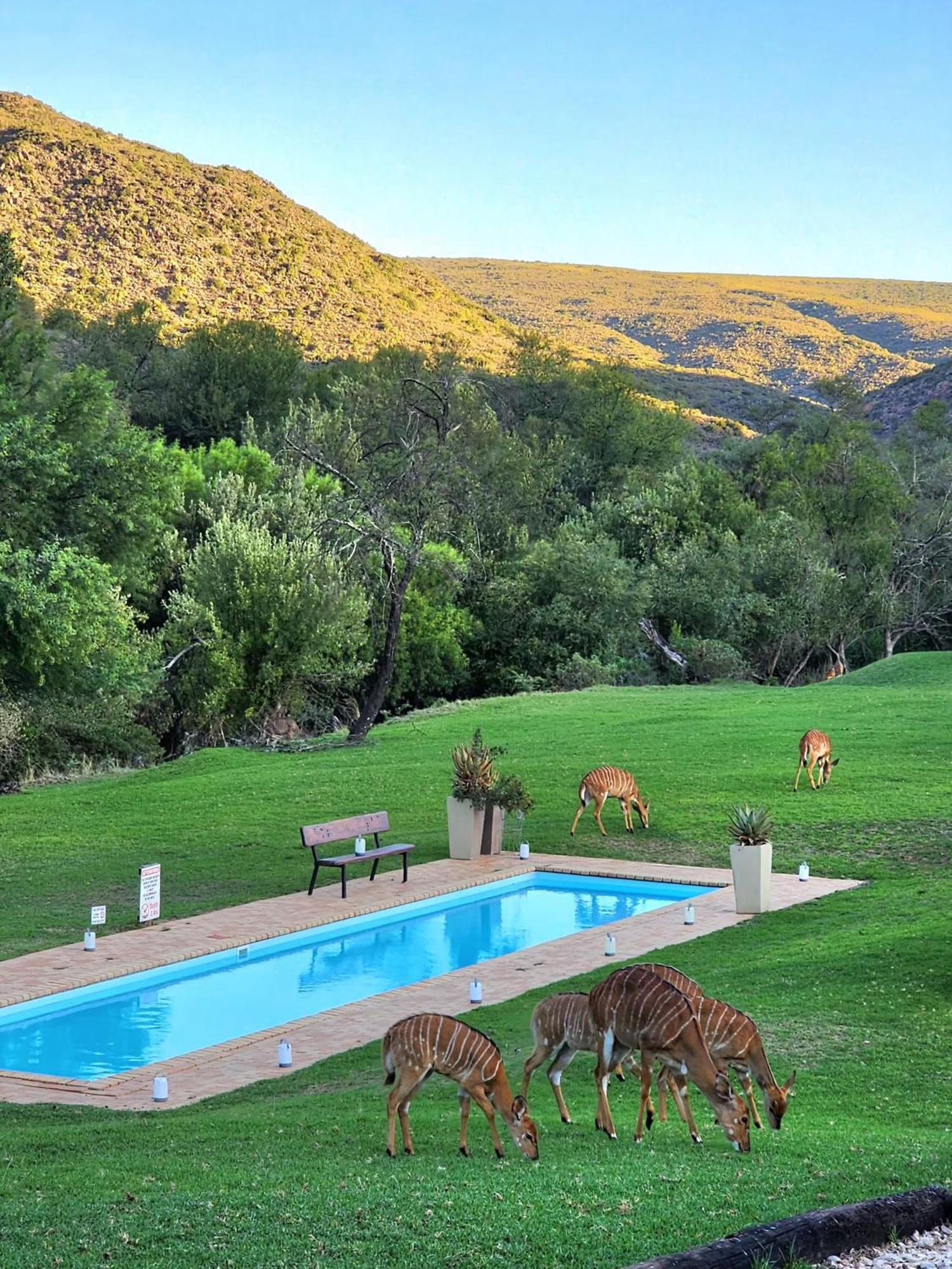 Wildehondekloof Game Lodge Matjiesrivier  Exterior foto